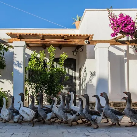Masseria Parco Di Castro Montalbano (Apulia)