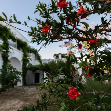 Farma Masseria Parco Di Castro *