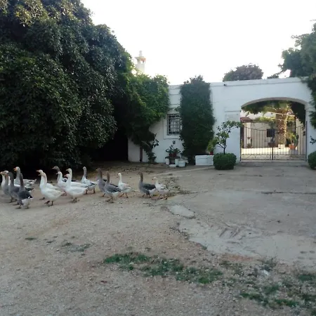 Bauernhof Masseria Parco Di Castro