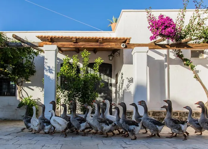 Masseria Parco Di Castro Montalbano (Apulia)