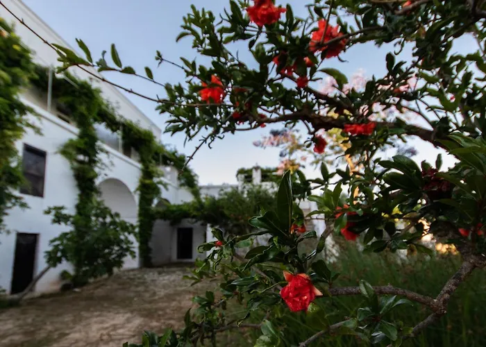Gospodarstwo agroturystyczne Masseria Parco Di Castro *